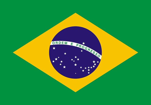 brasil c63f45f8f5209ae071a008fb7cc9b640.jpg